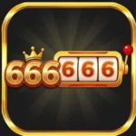 666C Game